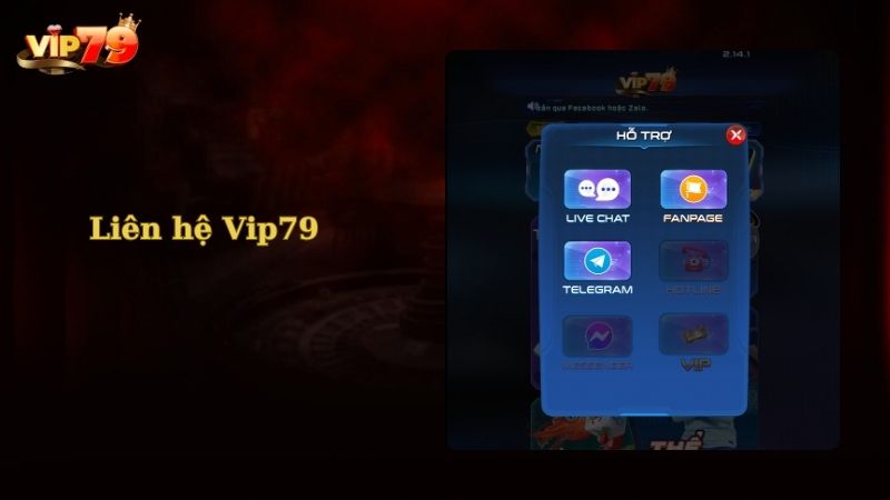 Các hình thức liên hệ Vip79